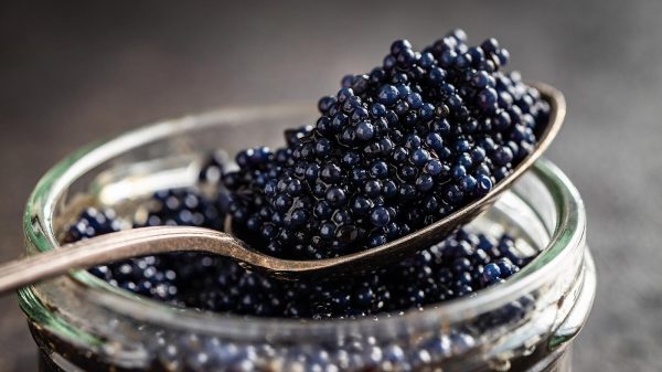 Caviar d'Aquitaine